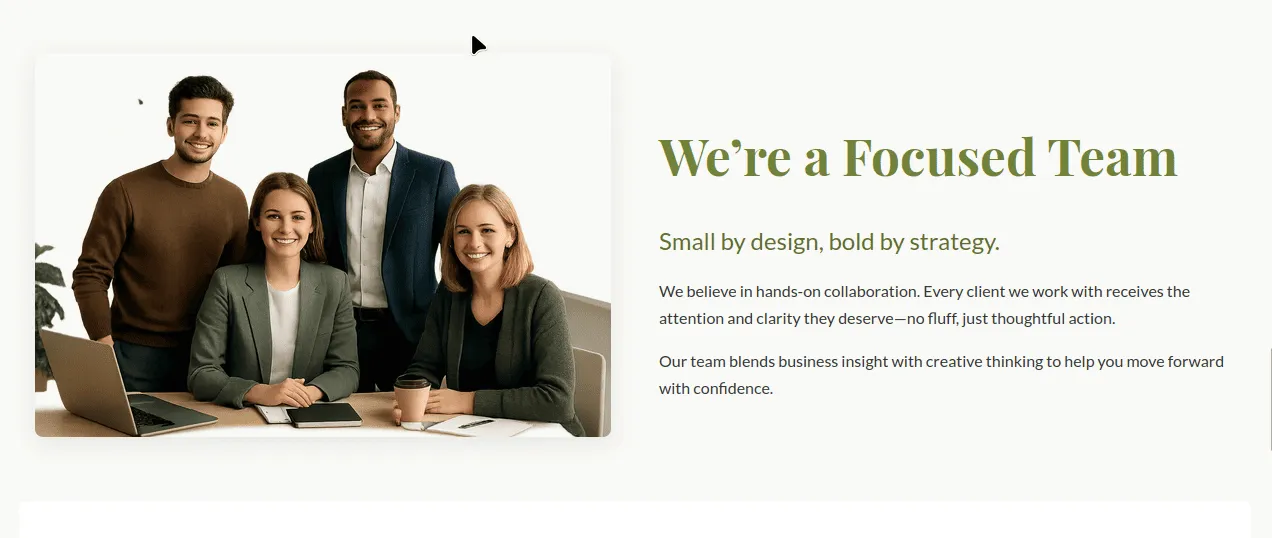 visionaire Website Screenshot